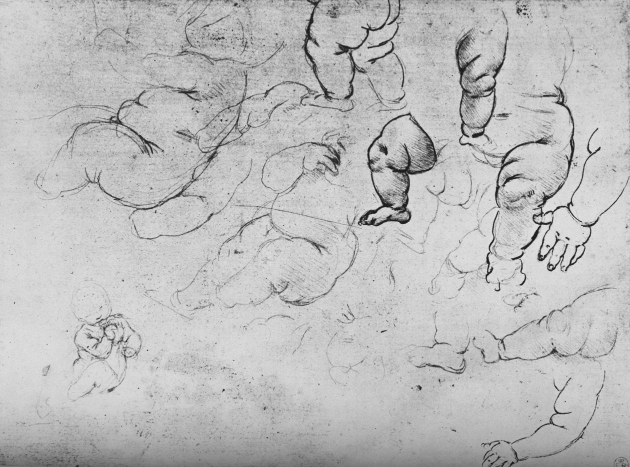 Estudios de un niño, c. 1490 de Leonardo da Vinci