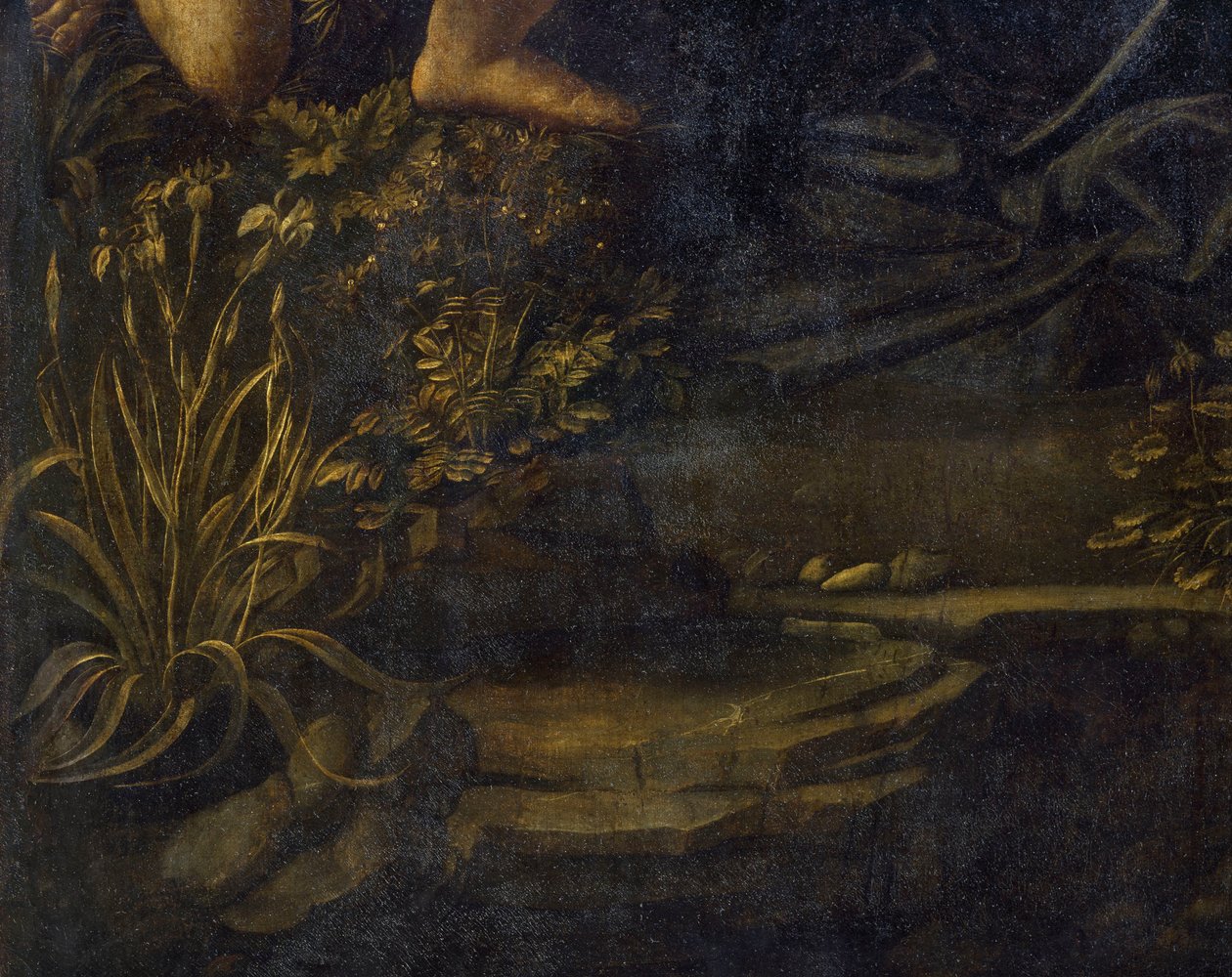 Virgen de las Rocas de Leonardo da Vinci
