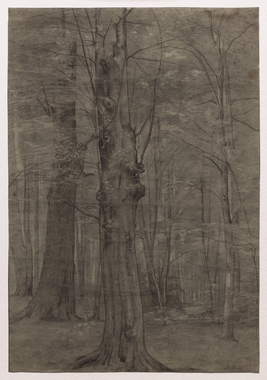 Trees de Leopold Bode