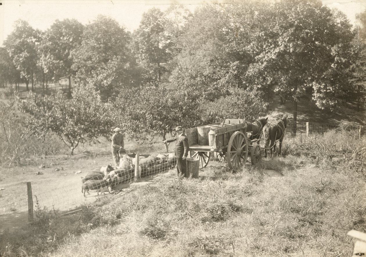 Sin título, ca. 1935 de Lewis Wickes Hine