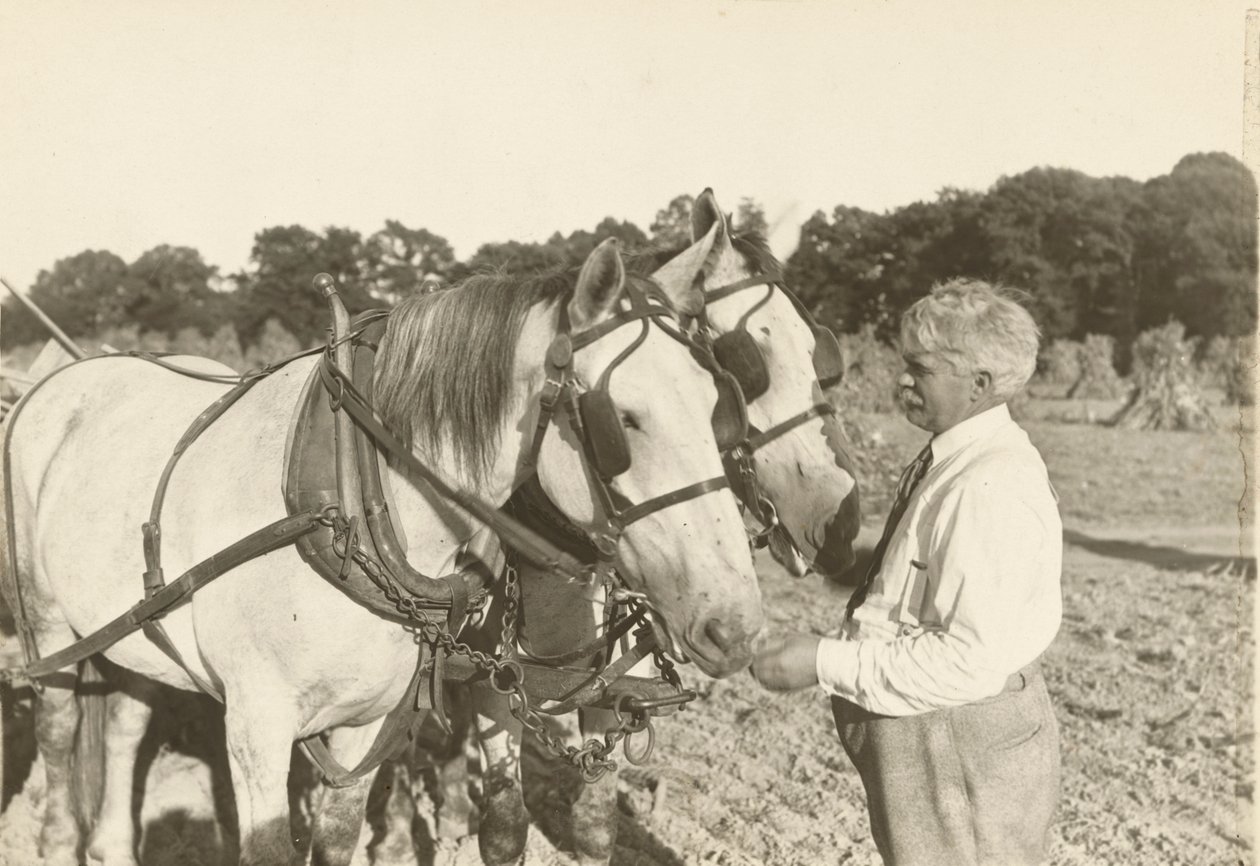 Sin título, ca. 1935 de Lewis Wickes Hine