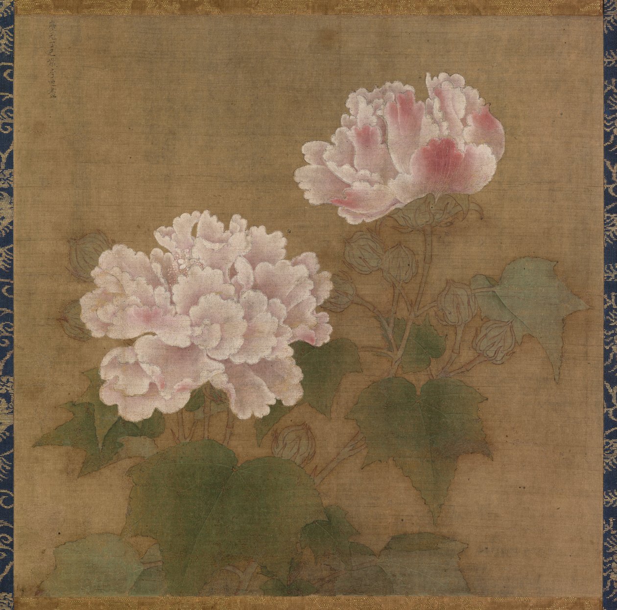 Rosas de Algodón Rojas y Blancas de Li  Di