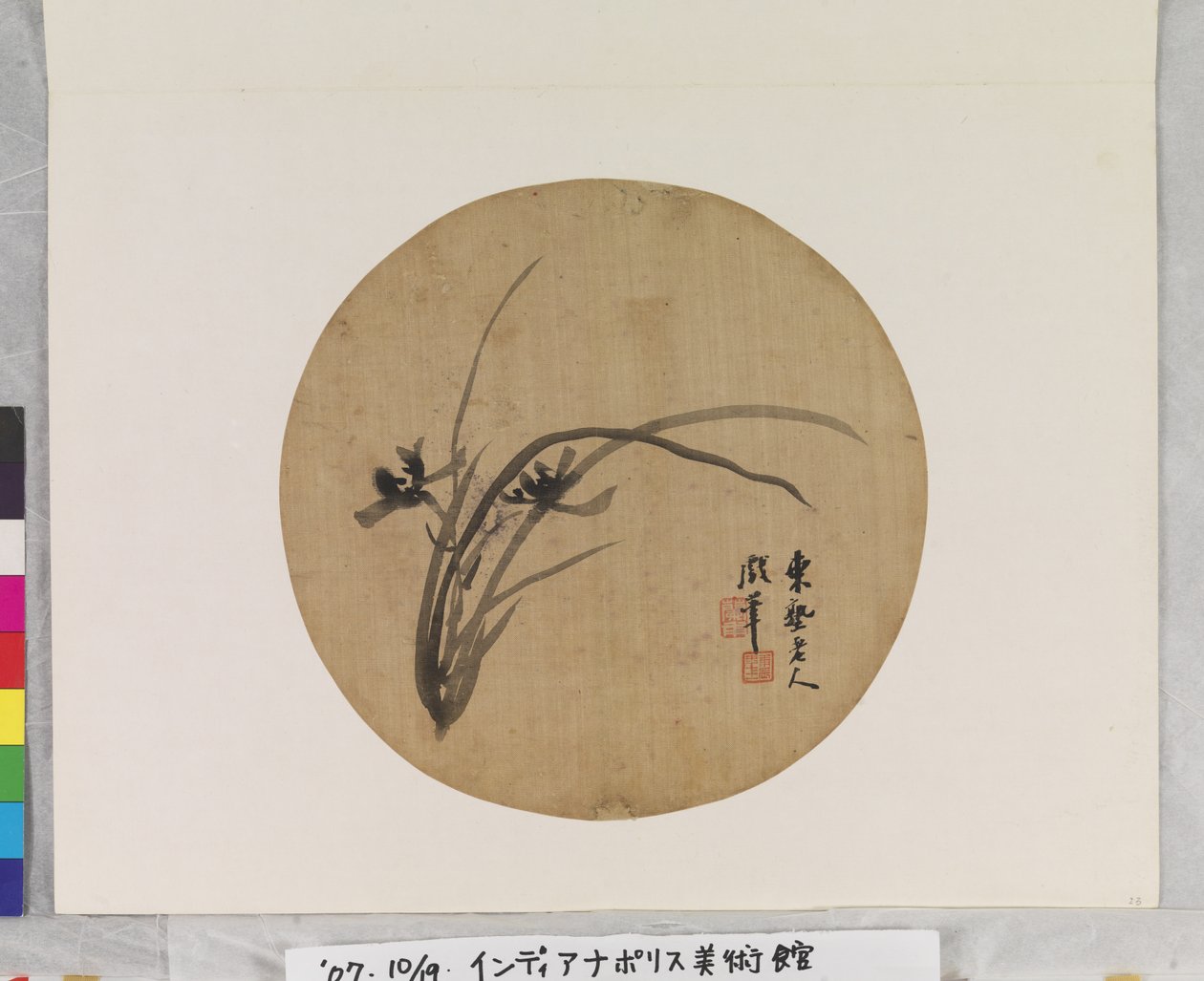 Orquídea en flor de Li Chen