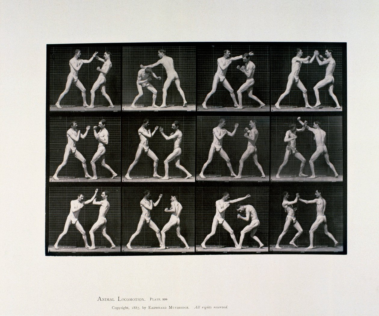 Atletas masculinos desnudos boxeando, c 1872-1885 de Unbekannt Unbekannt