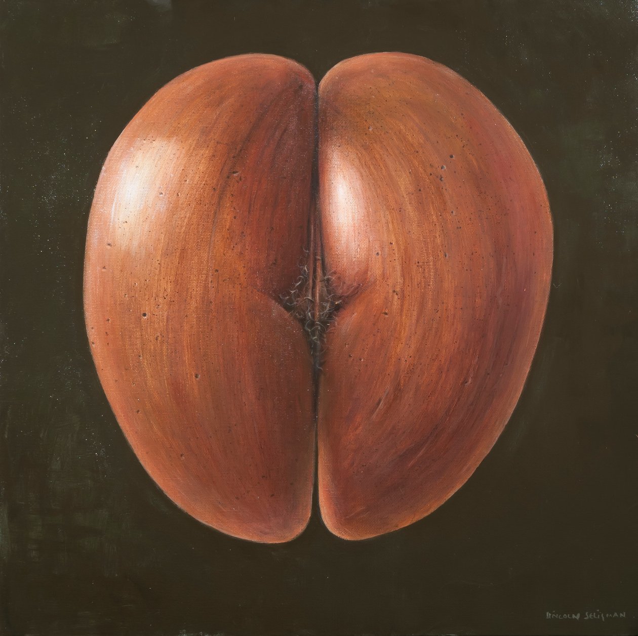 Coco de Mer, Maldivas, 2012 de Lincoln Seligman