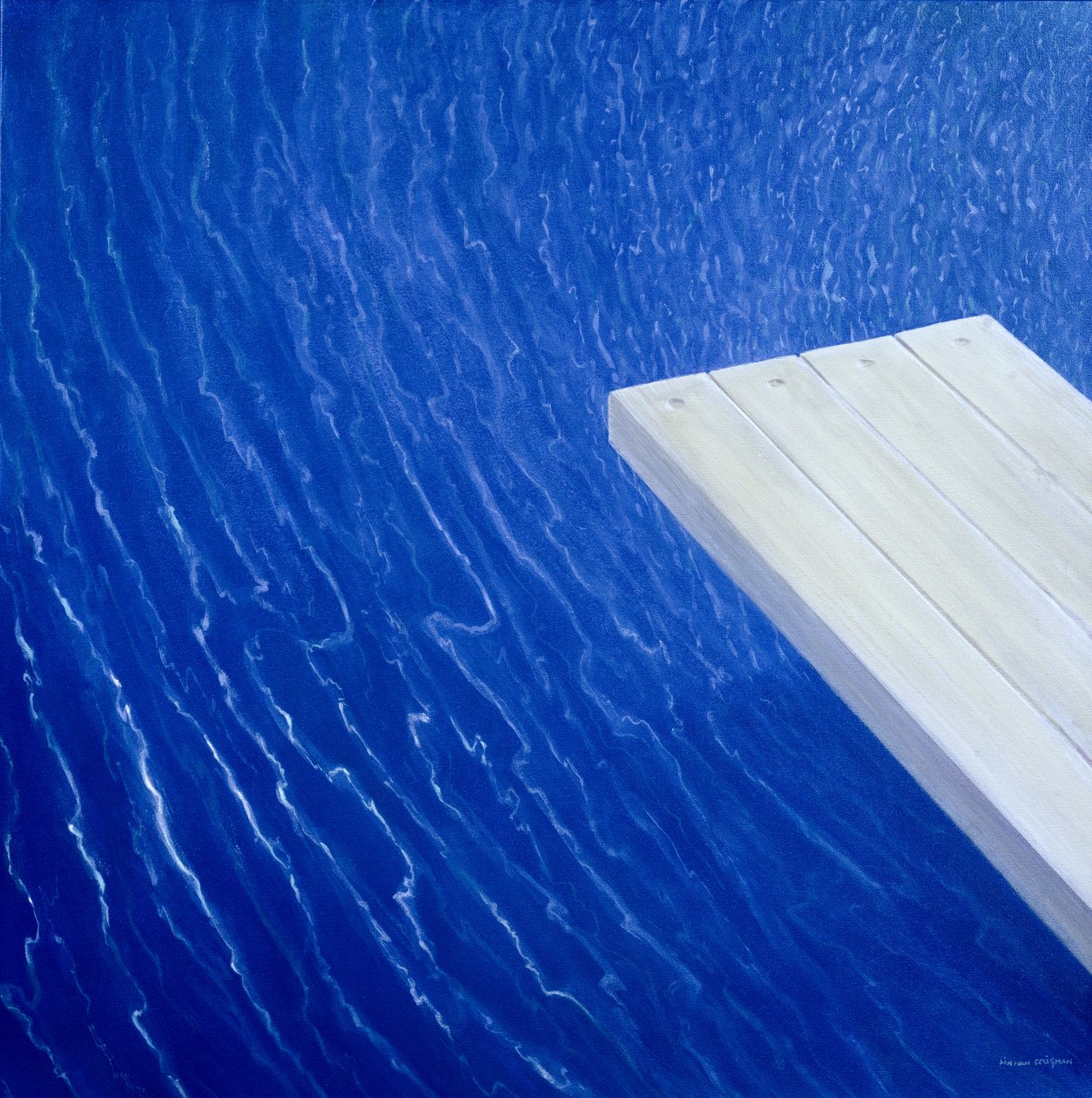Trampolín, 2004 de Lincoln Seligman