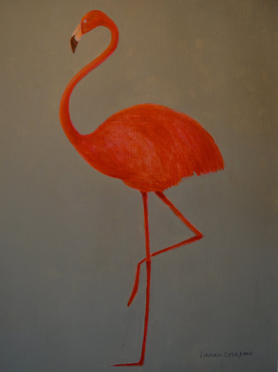 Flamenco de Lincoln Seligman