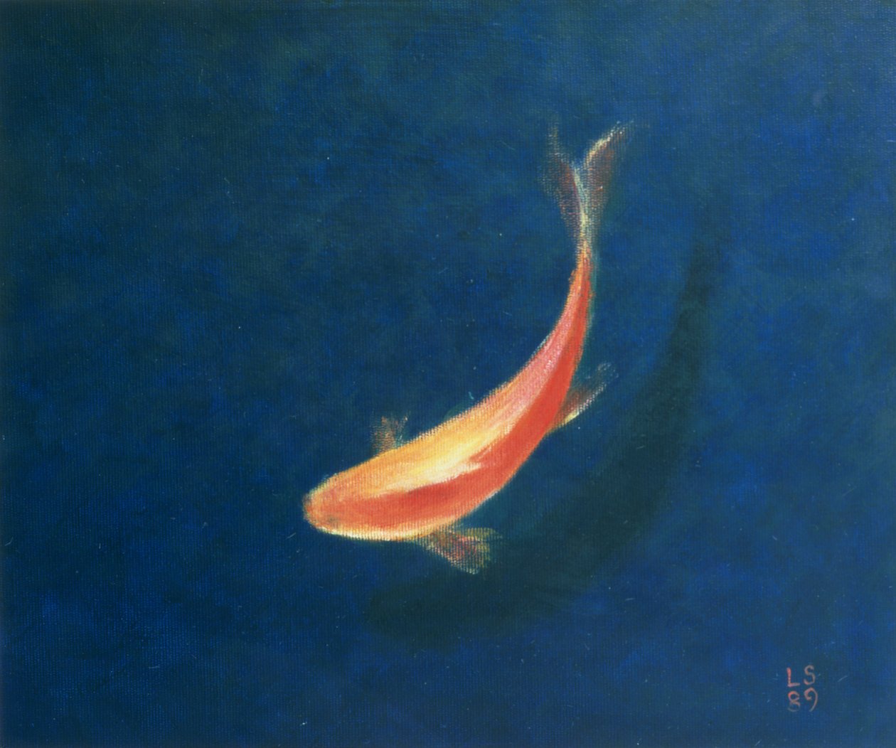 Peces de colores de Lincoln Seligman