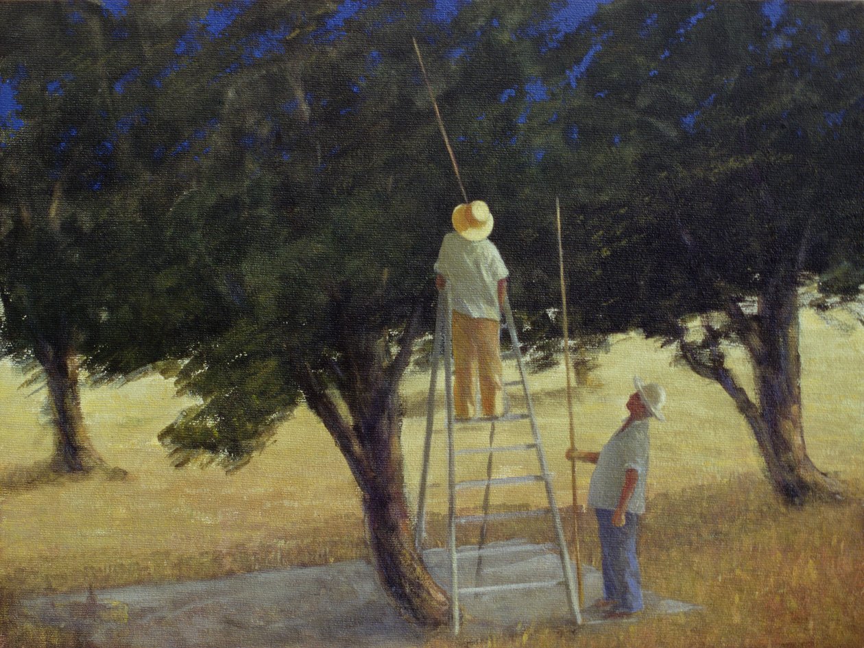 Recolectores de Aceitunas, 1985 de Lincoln Seligman