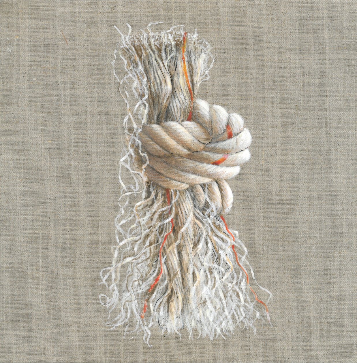 Nudo de cuerda de Lincoln Seligman