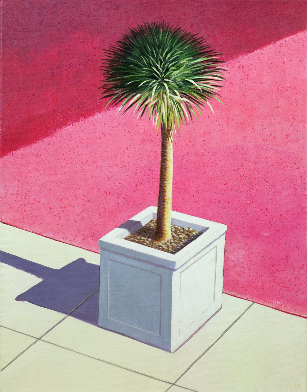 Palma pequeña, 1995 de Lincoln Seligman