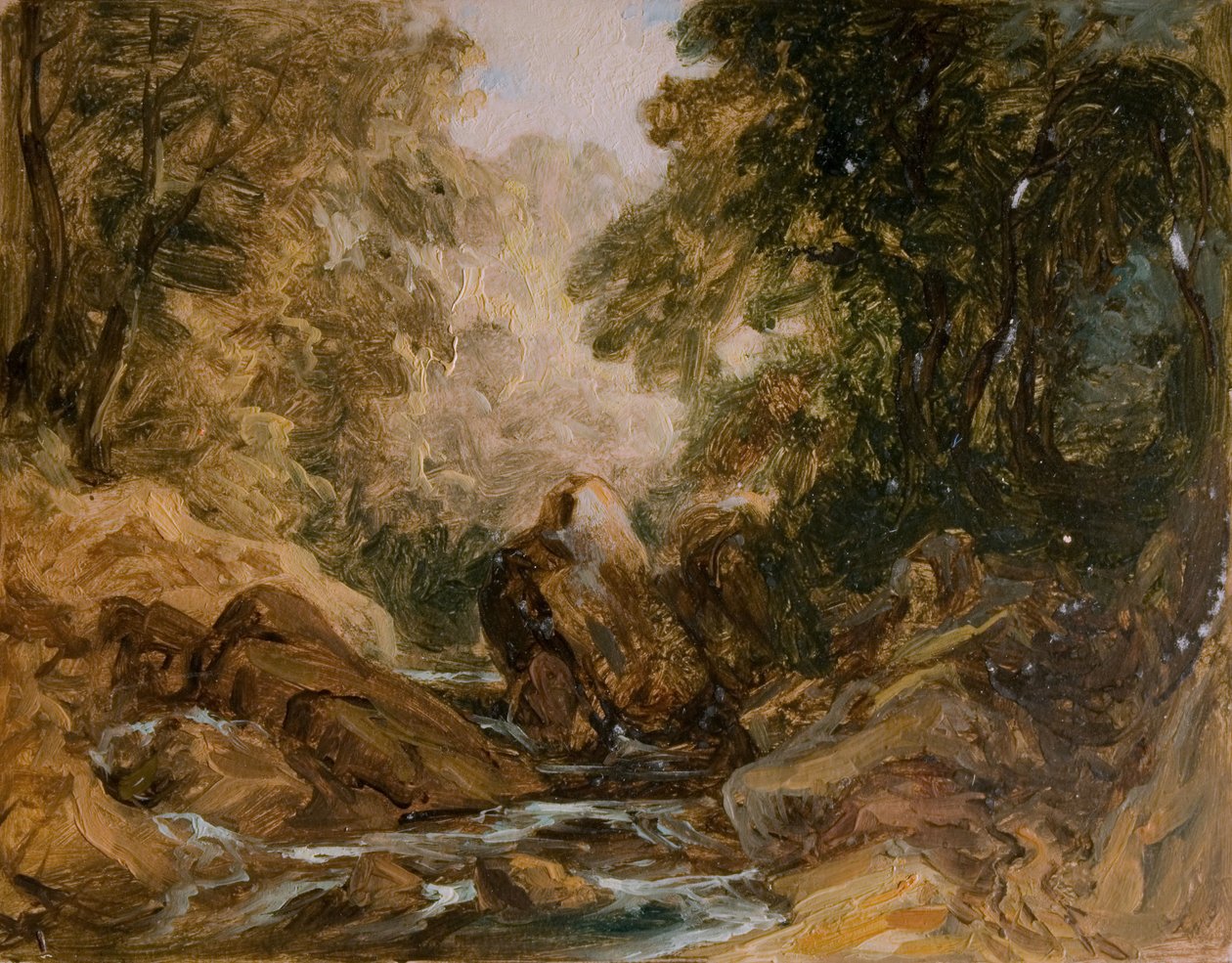 Arroyo de montaña y rocas, [siglo XIX] de Lines Family