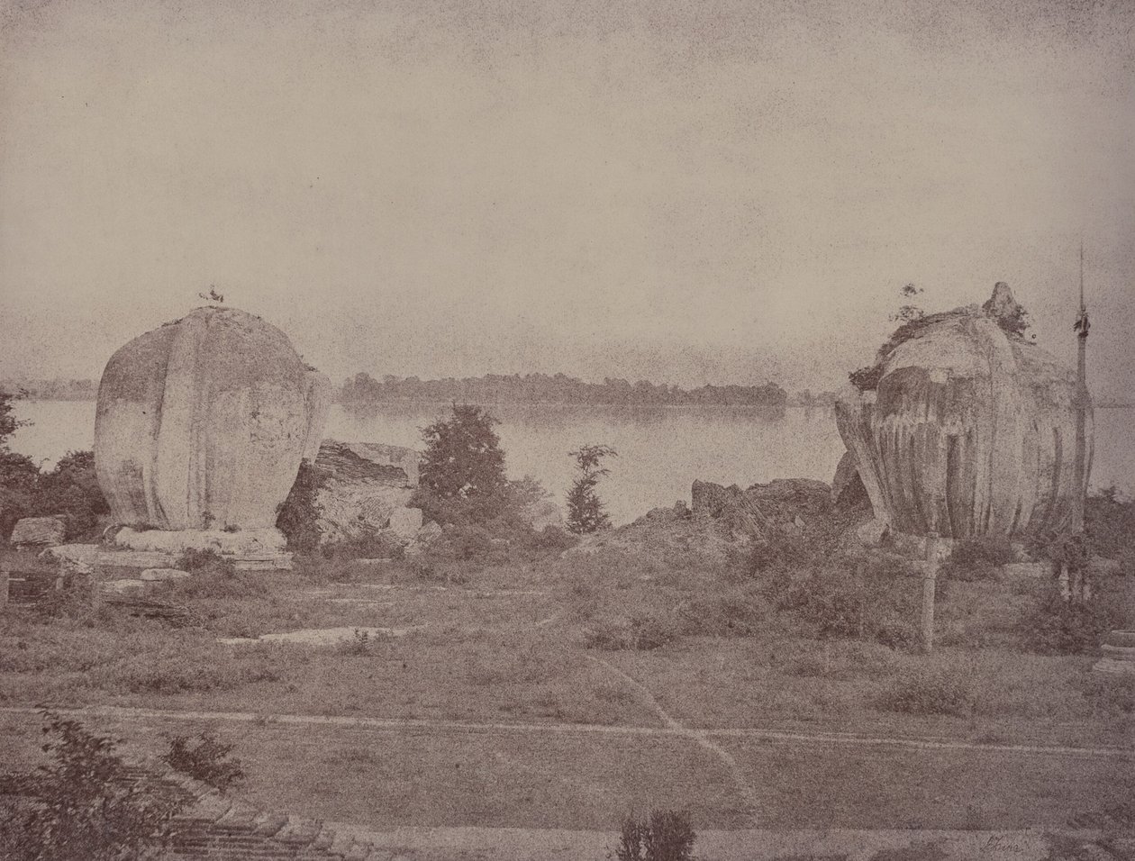 Mengoon: Grifos en Ruinas de Linnaeus Tripe