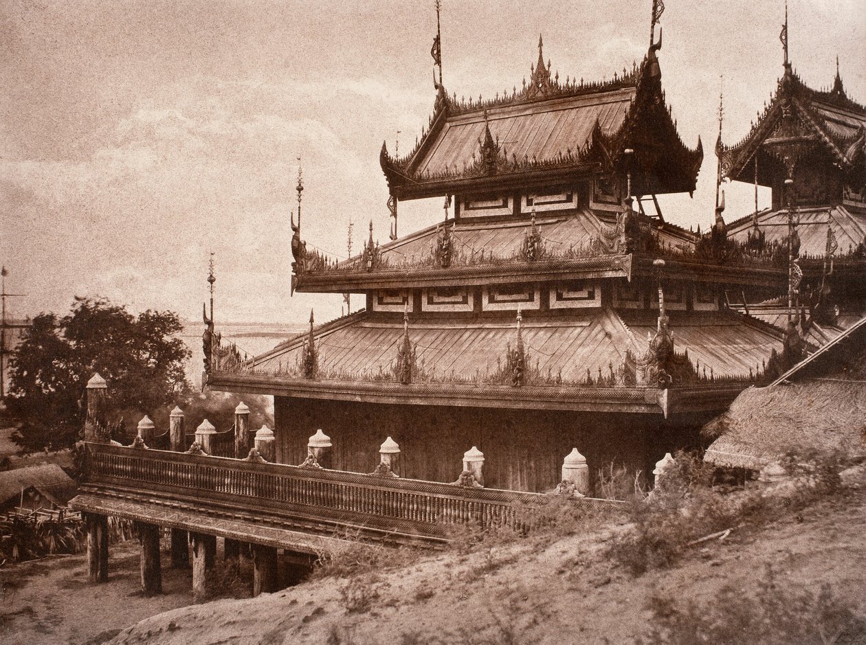 No. 8. Ye-nan-gyoung [Yenangyaung]. Kyoung. de Linnaeus Tripe