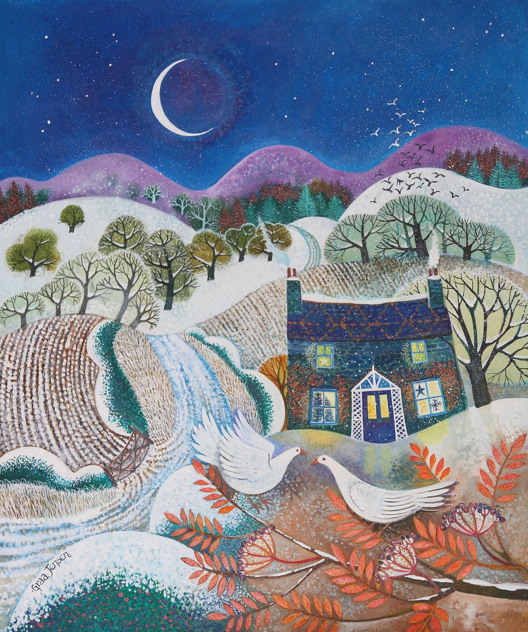 Aves de nieve de Lisa Graa Jensen