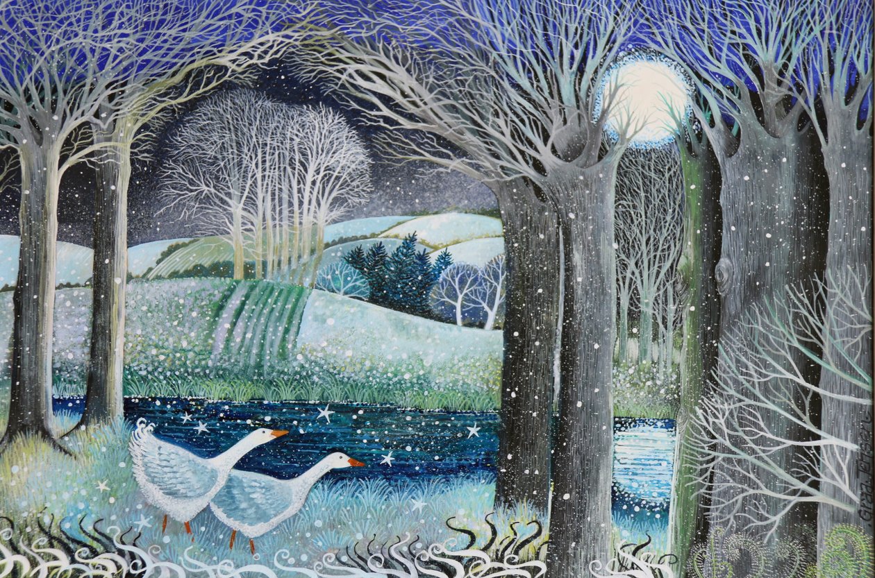 Río Estrellado, 2018 de Lisa Graa Jensen