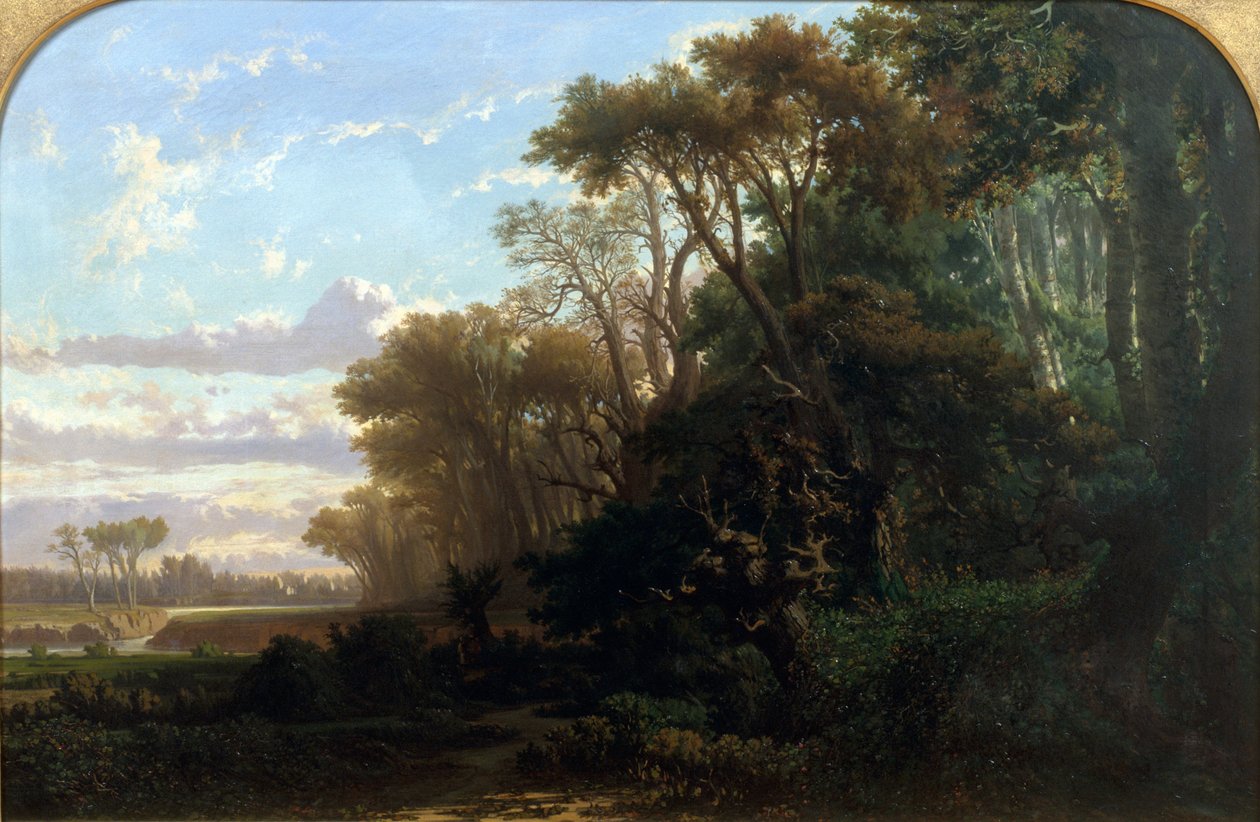 Paisaje con bosques de Lluís Rigalt