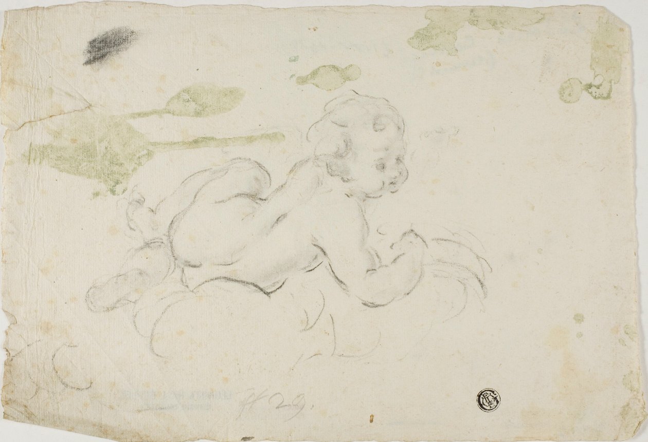 Putto de Lodovico Carracci