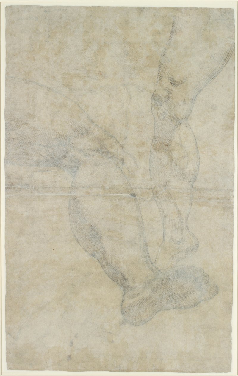 Estudios de dos pares de piernas de Lodovico Carracci