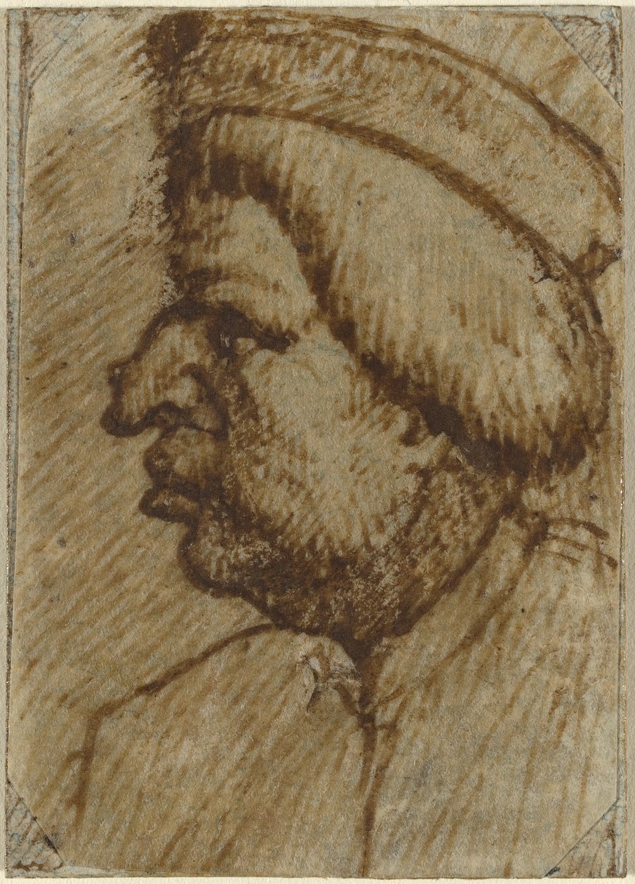 Perfil de un hombre de Lombard 16th Century