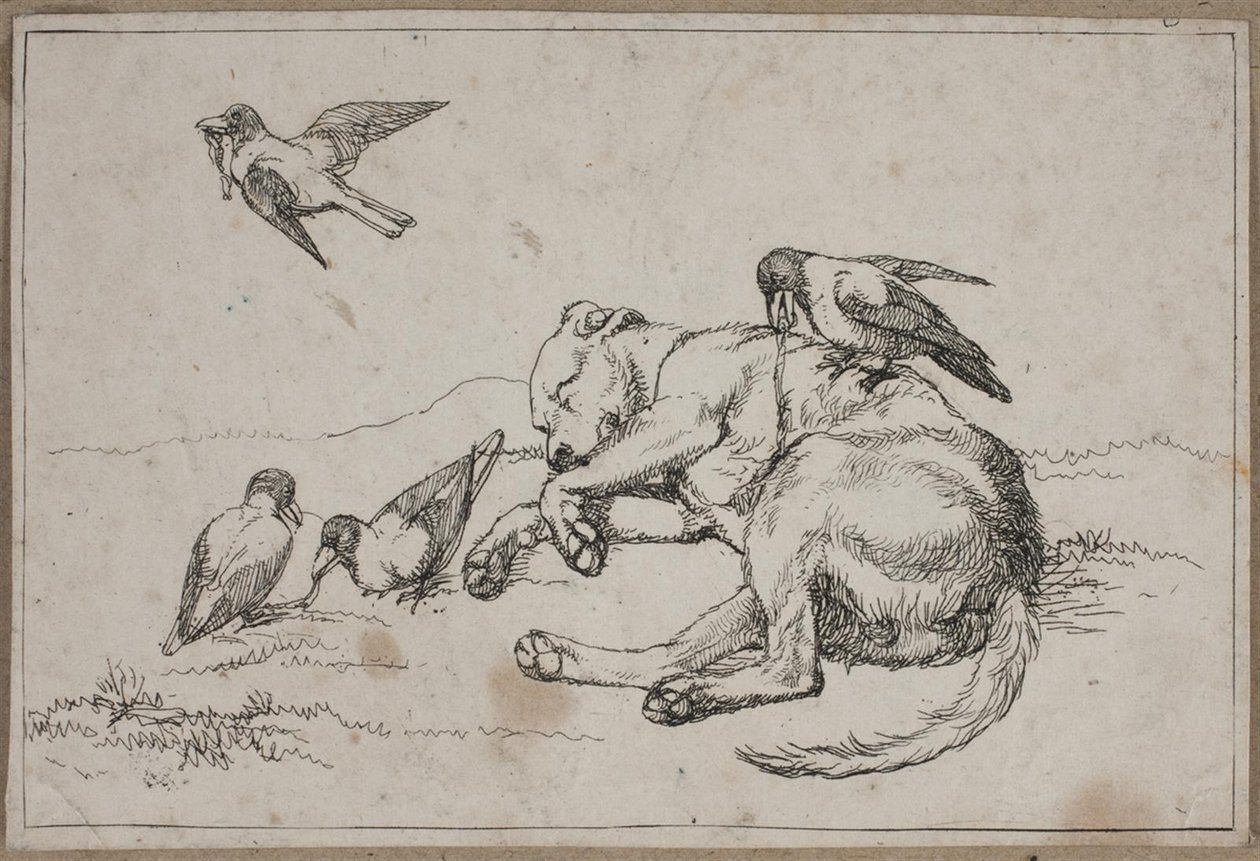 Imagen 9 de Una vida de perro de Lorenz Frølich