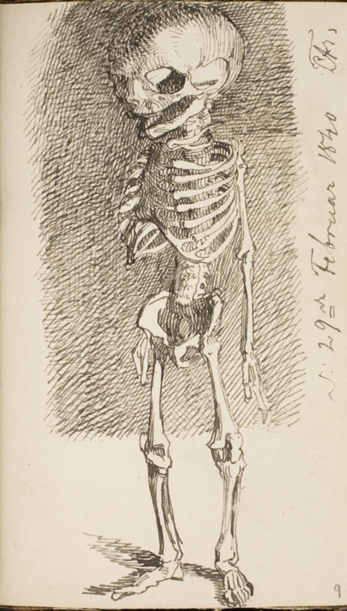 Boceto de un esqueleto de pie de Lorenz Frølich