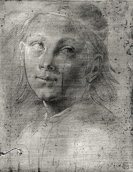Cabeza de un joven de Lorenzo di Credi
