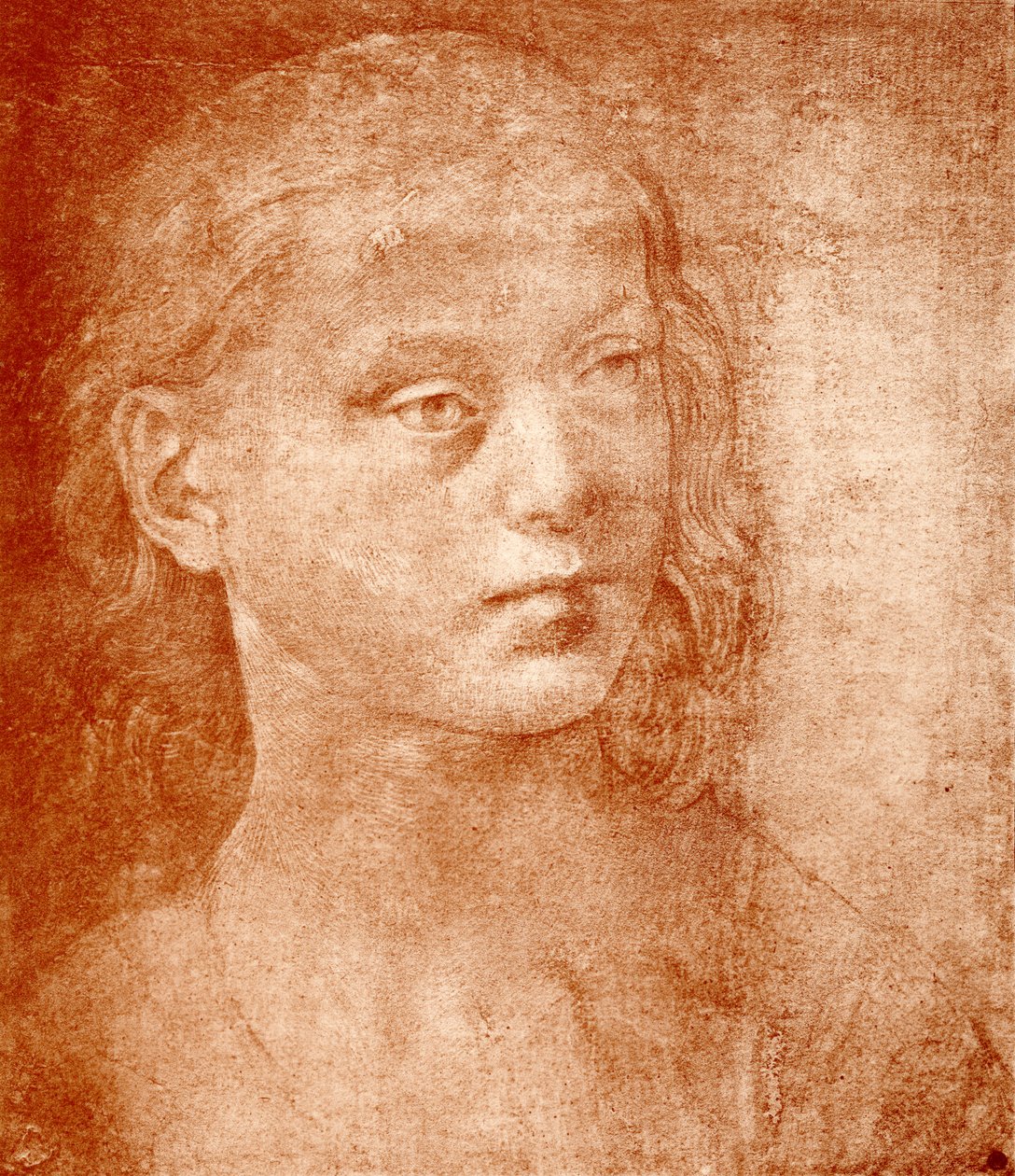 Cabeza de niña de Lorenzo di Credi