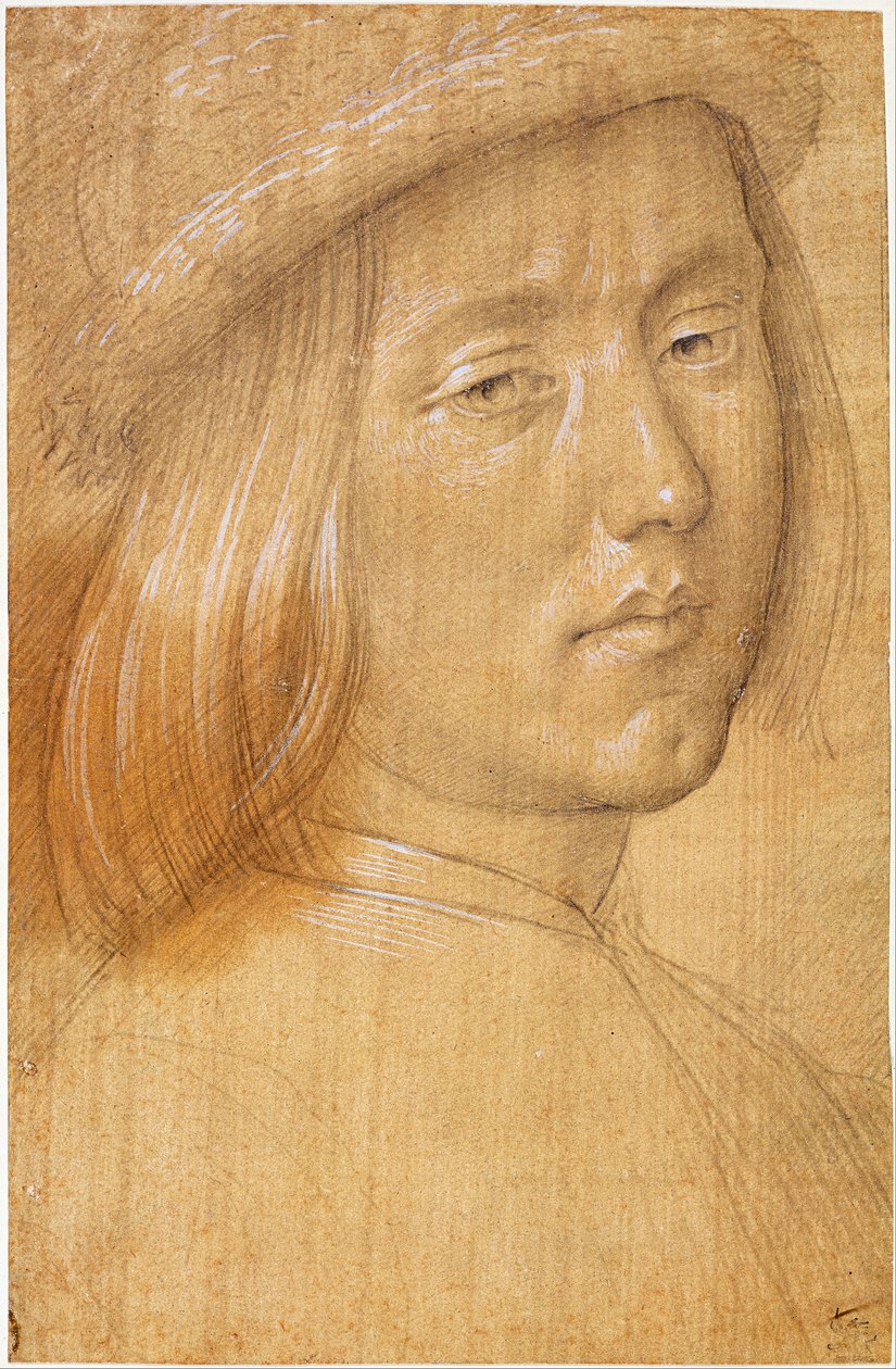 Jefe de una Juventud de Lorenzo di Credi