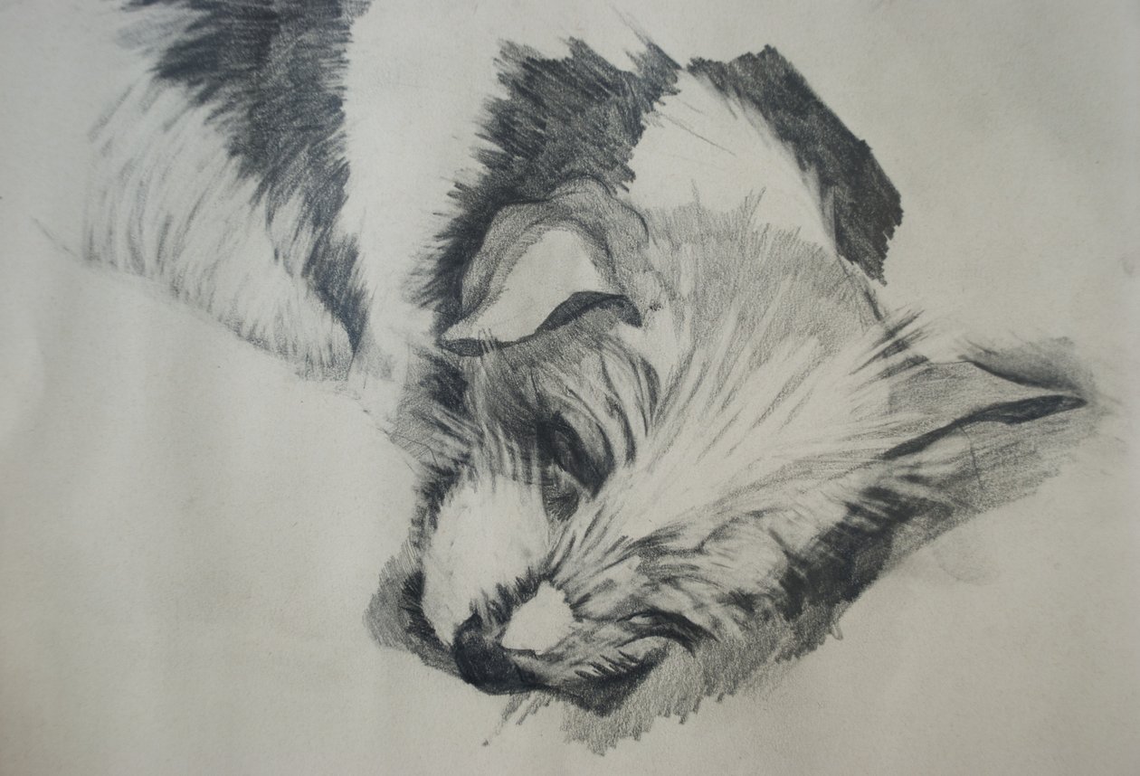 Jack Russel, 2015 de Lou Gibbs
