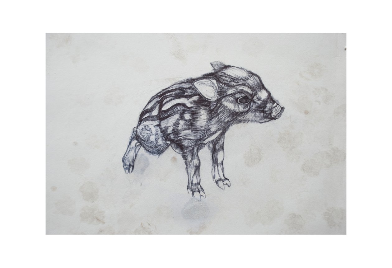 Cerdito, 2015 de Lou Gibbs