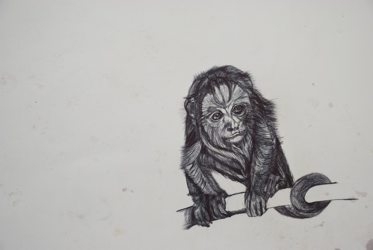 Asunto de monos de Lou Gibbs