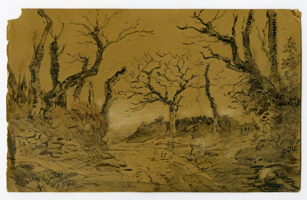 Dibujo de Louis Marie Faudacq