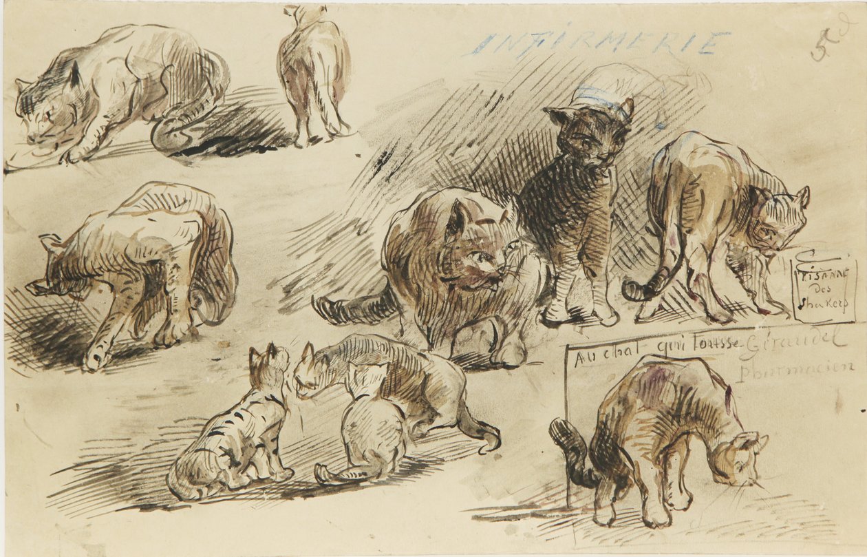 Dibujo de Louis Marie Faudacq