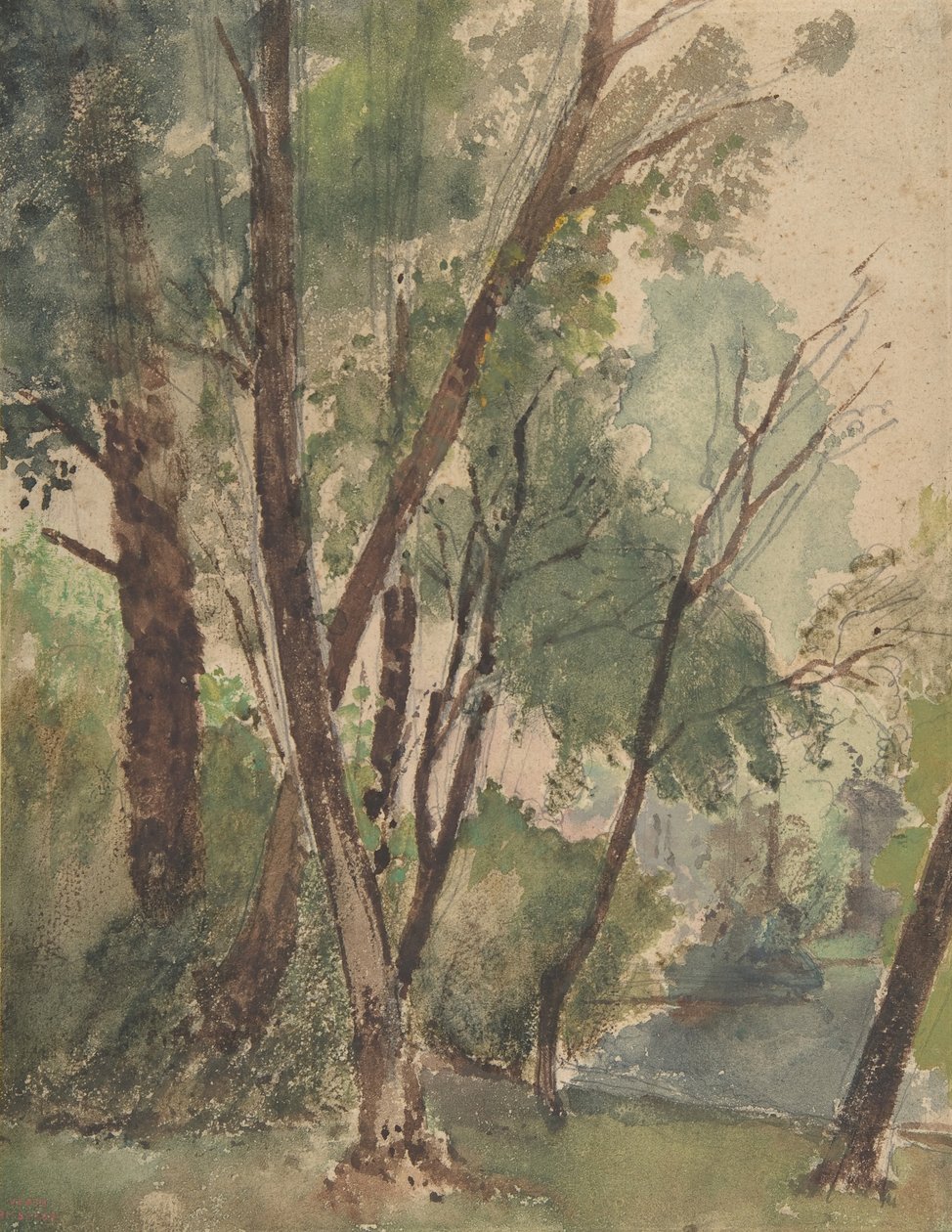Árboles junto a un estanque, 1853-1878 de Louis Antoine Leon Riesener