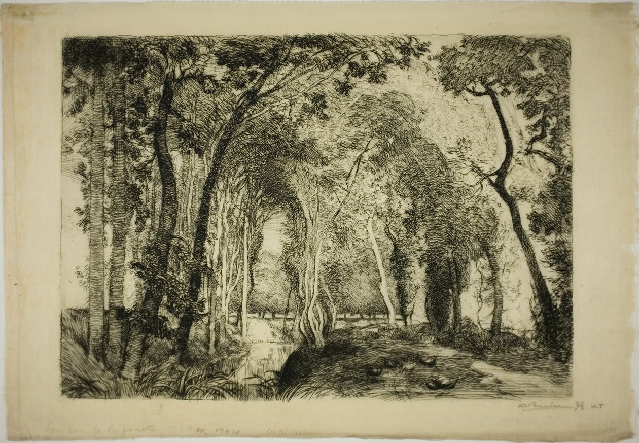 Sous Bois, en Rigonette de Louis Auguste Lepère