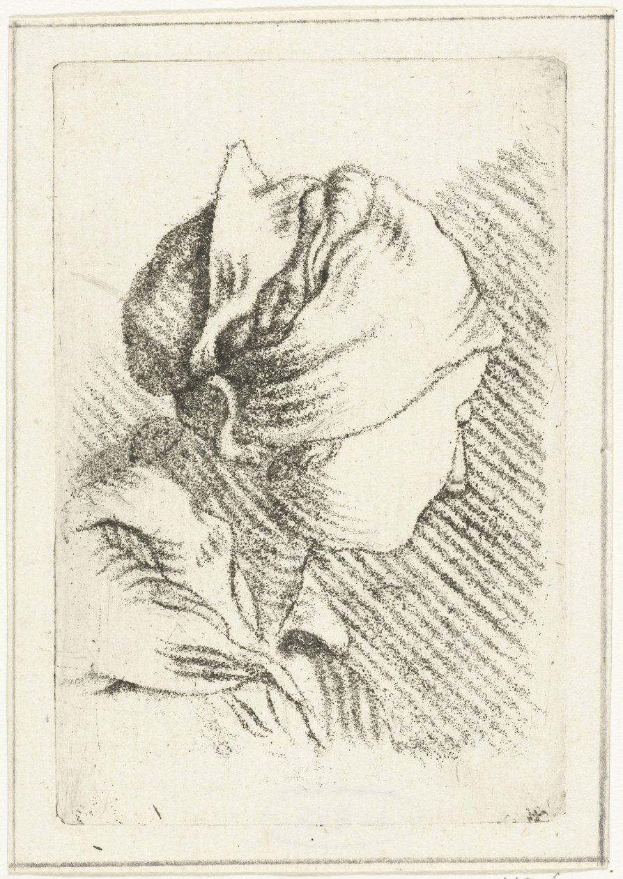 Hoja de estudio con la cabeza de una mujer con un pañuelo en la cabeza de Louis Bernard Coclers