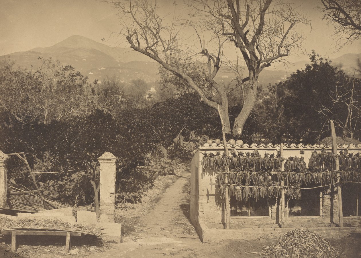 Escena agrícola con montañas de Louis Crette