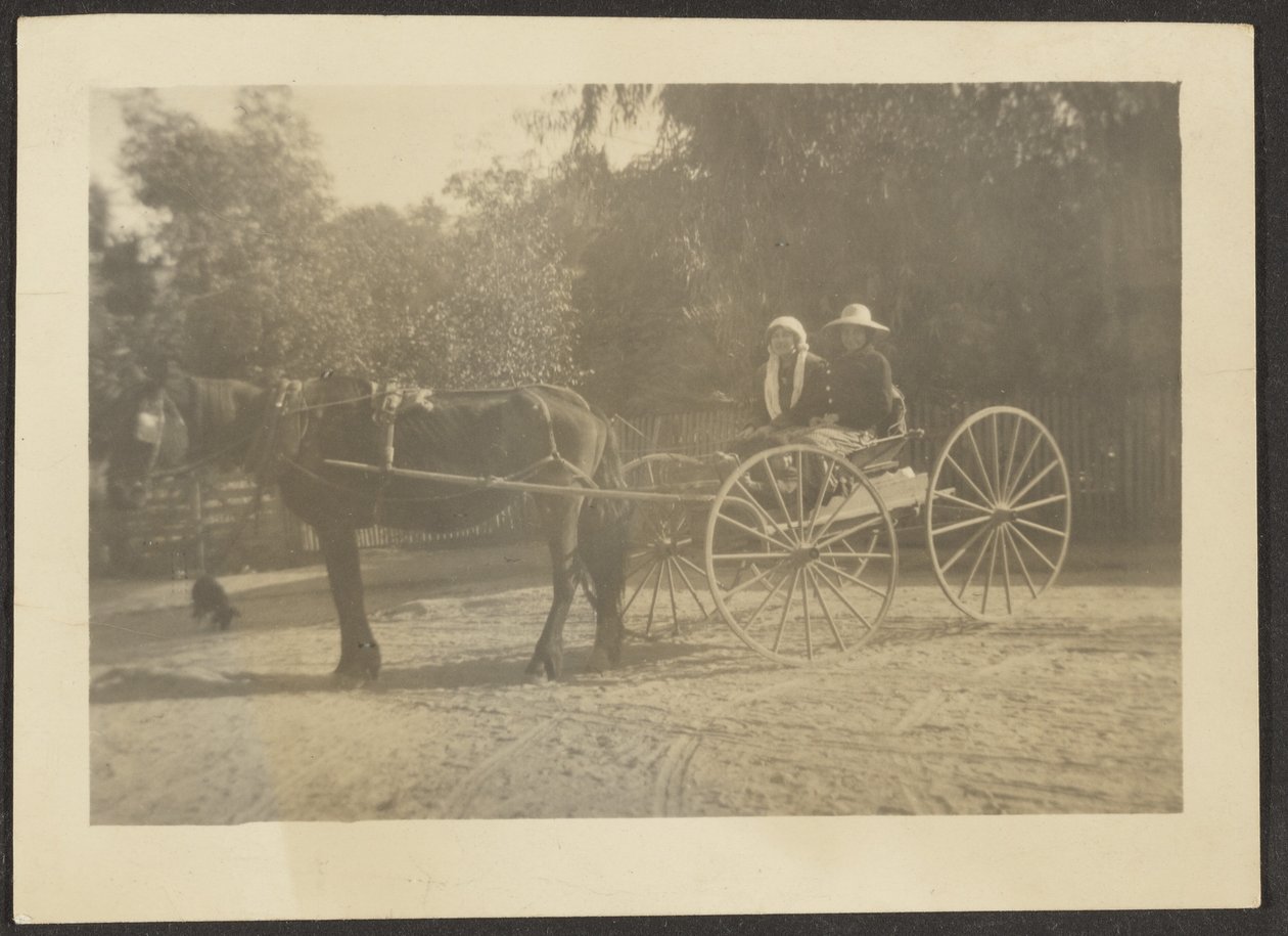 [Pareja en carro de caballos] de Louis Fleckenstein
