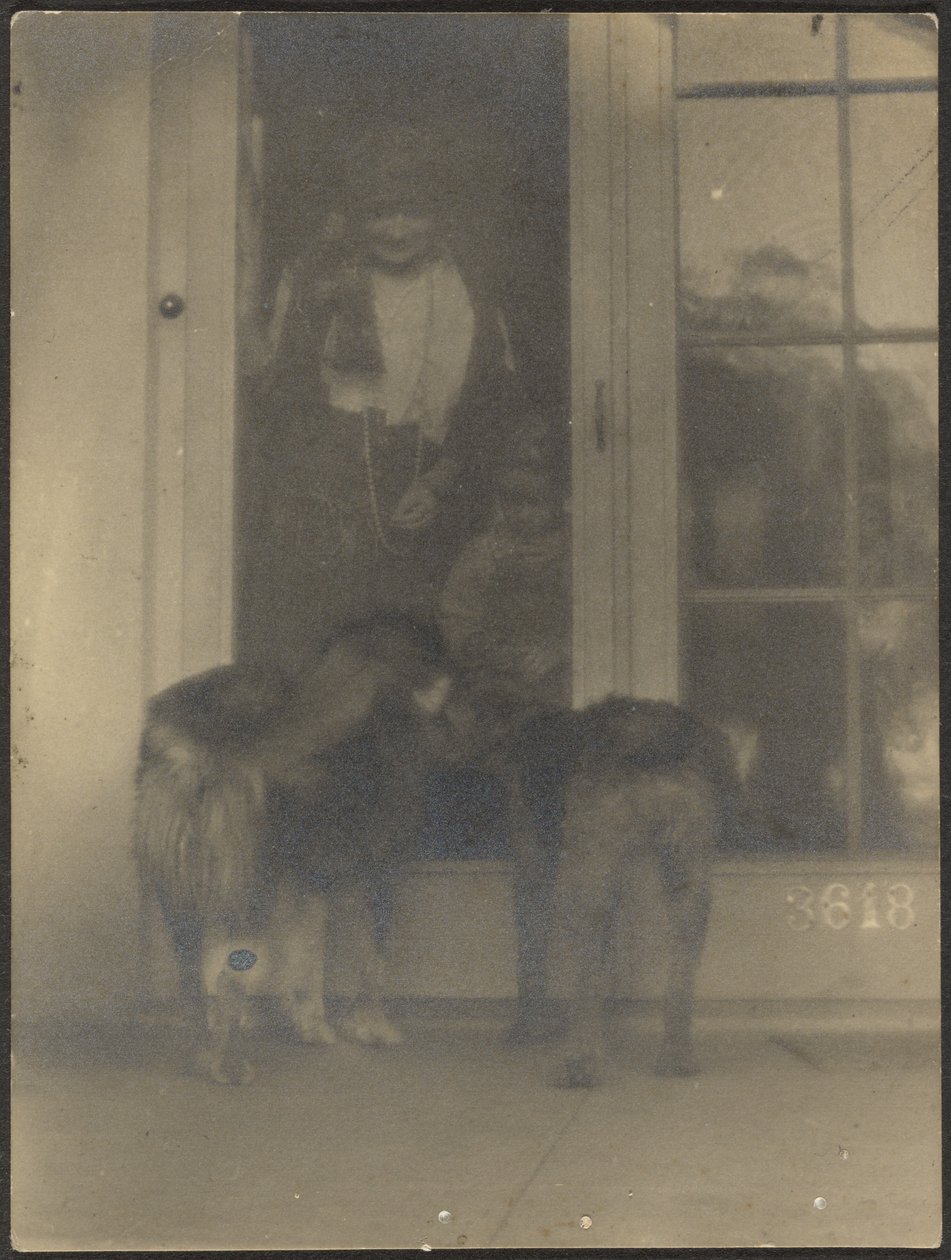 [Perros en la puerta] de Louis Fleckenstein