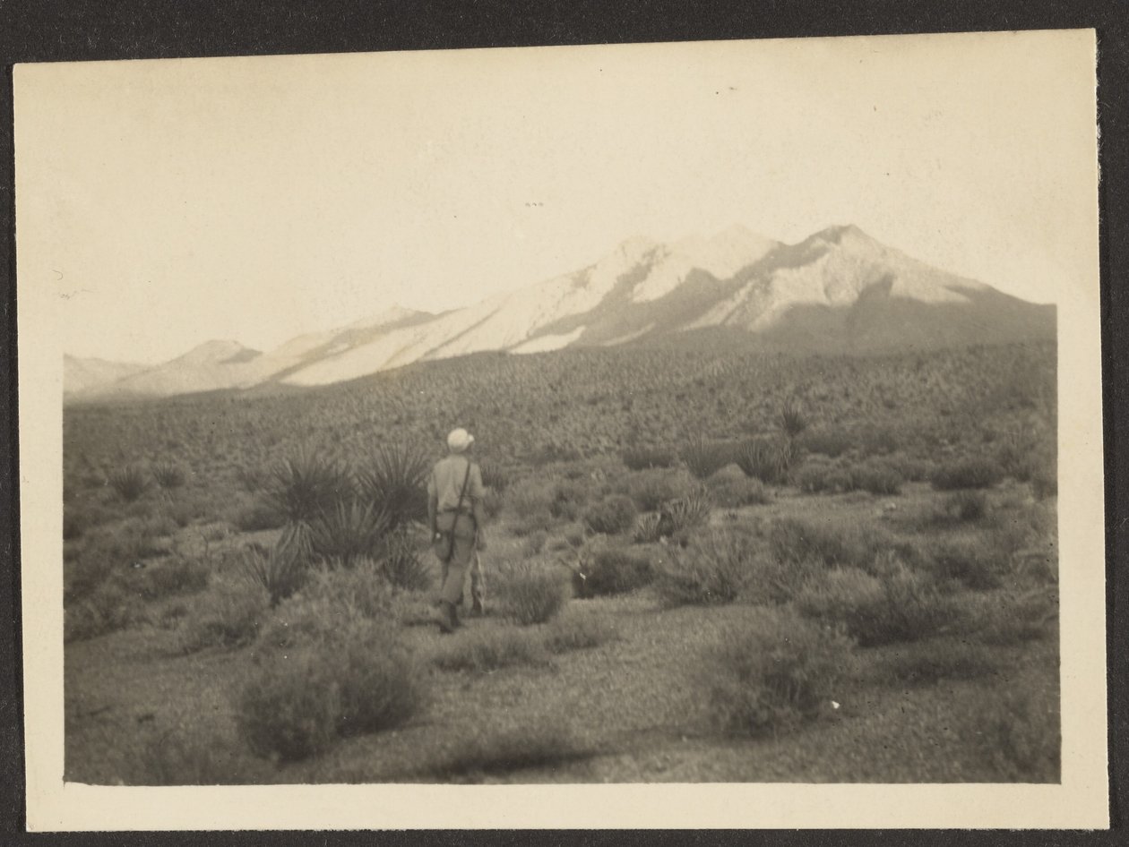 [Figura en paisaje] de Louis Fleckenstein