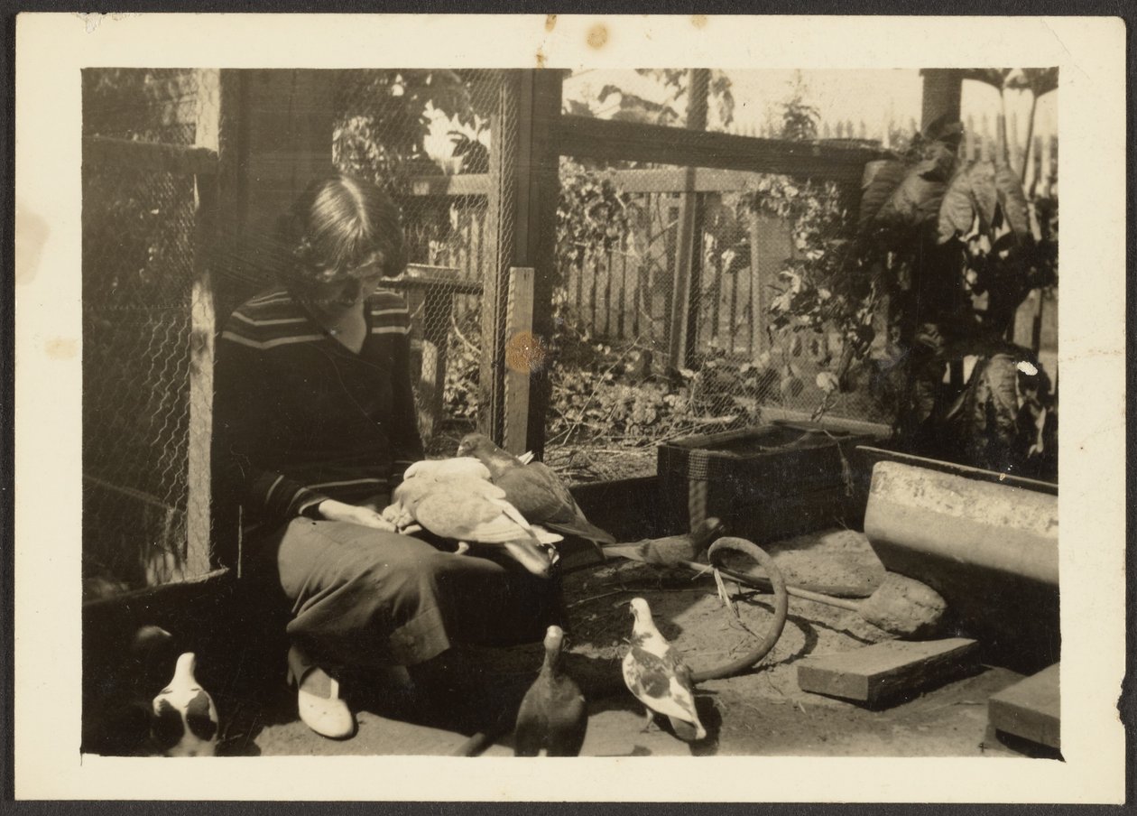 [Florencia con palomas] de Louis Fleckenstein