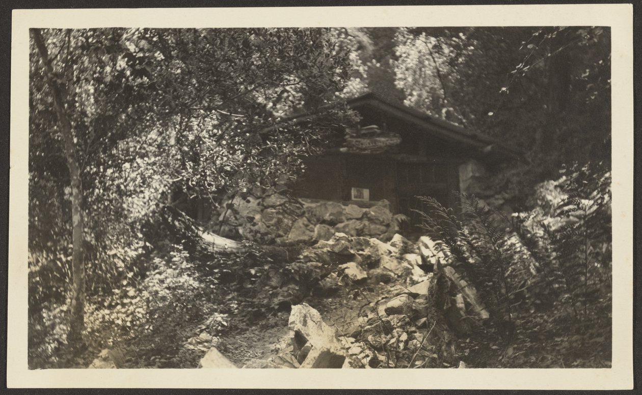 [Forest Lodge] de Louis Fleckenstein