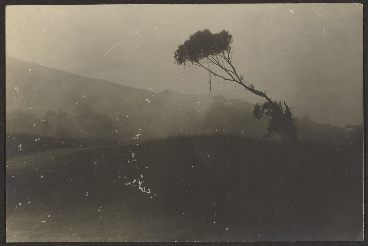 Laguna Beach de Louis Fleckenstein