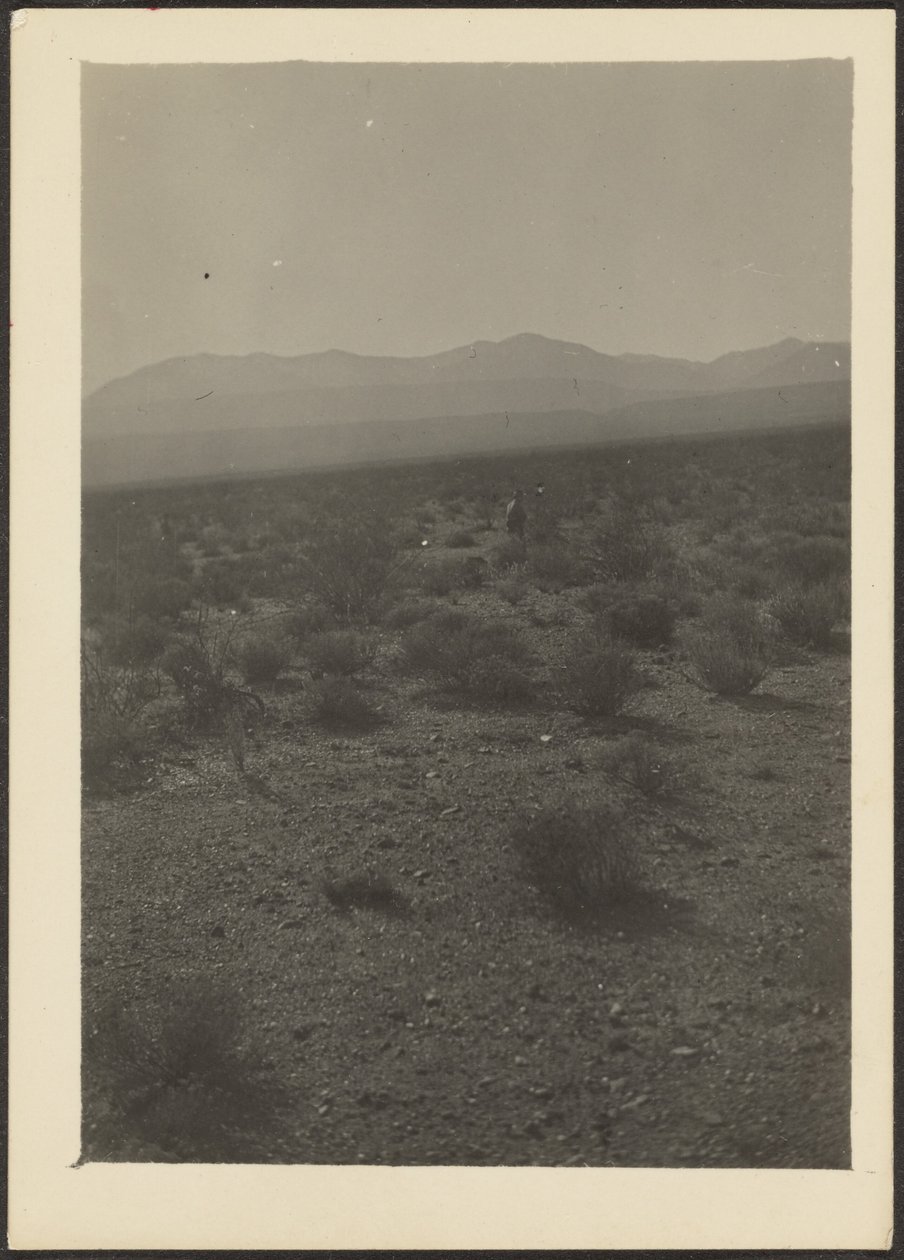 [Paisaje] de Louis Fleckenstein