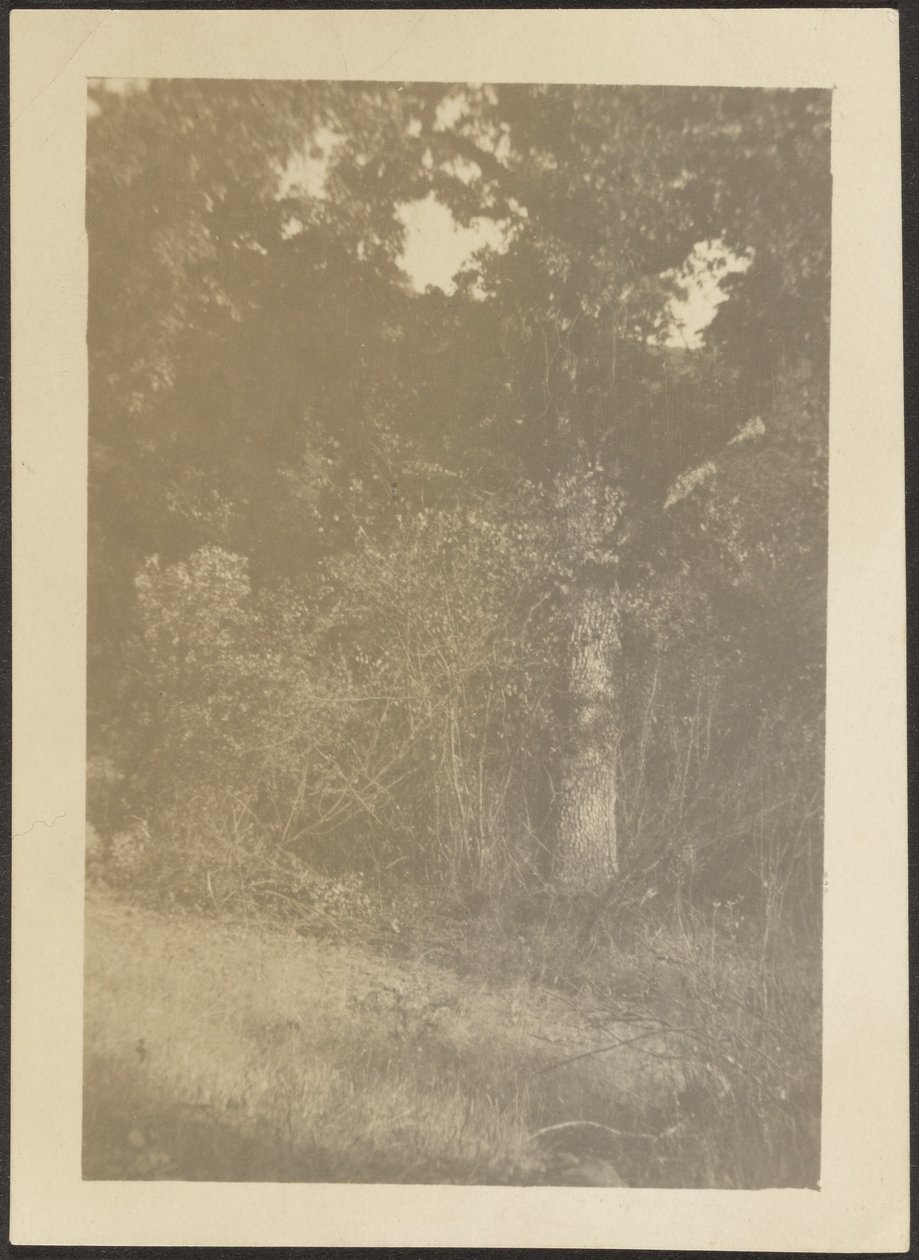 [Paisaje] de Louis Fleckenstein