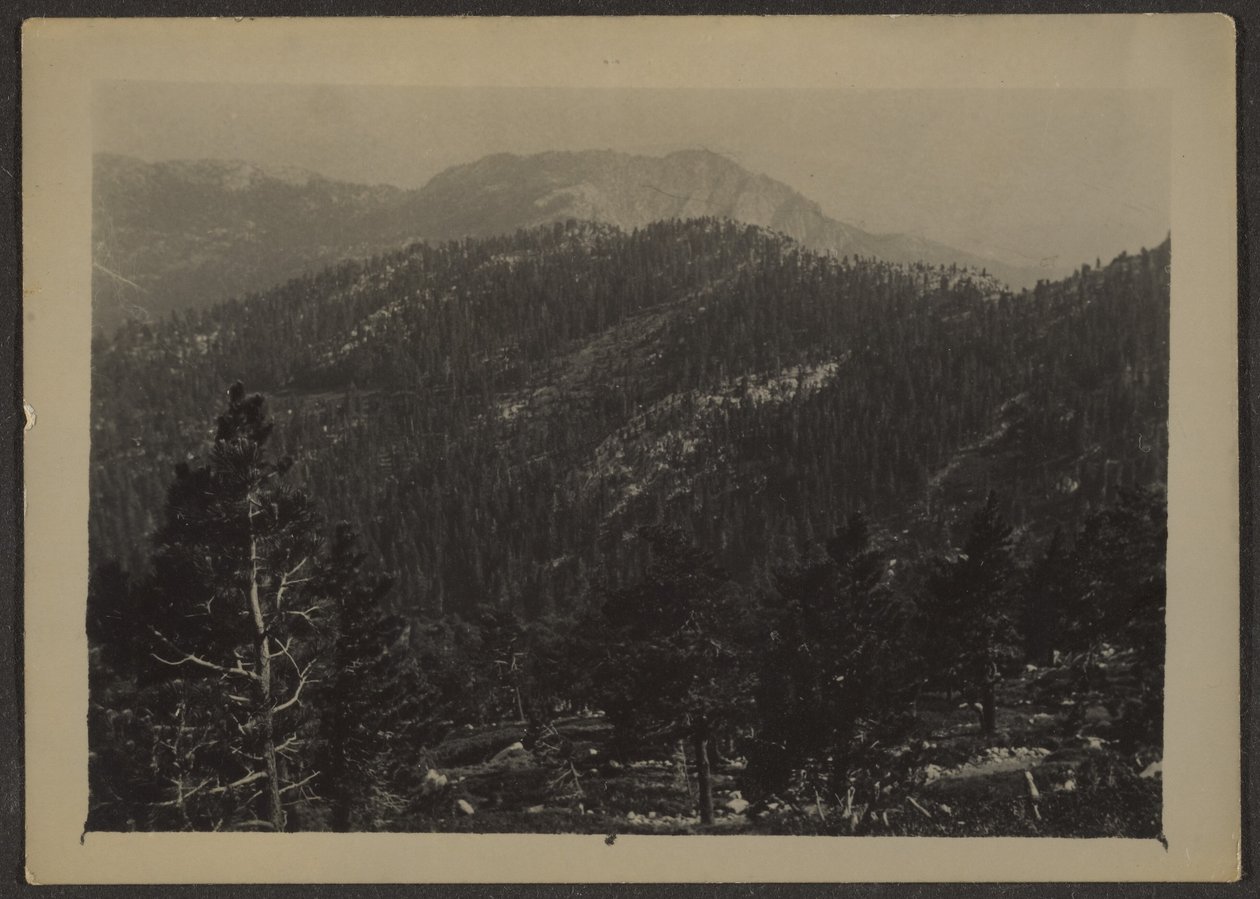 [Paisaje] de Louis Fleckenstein