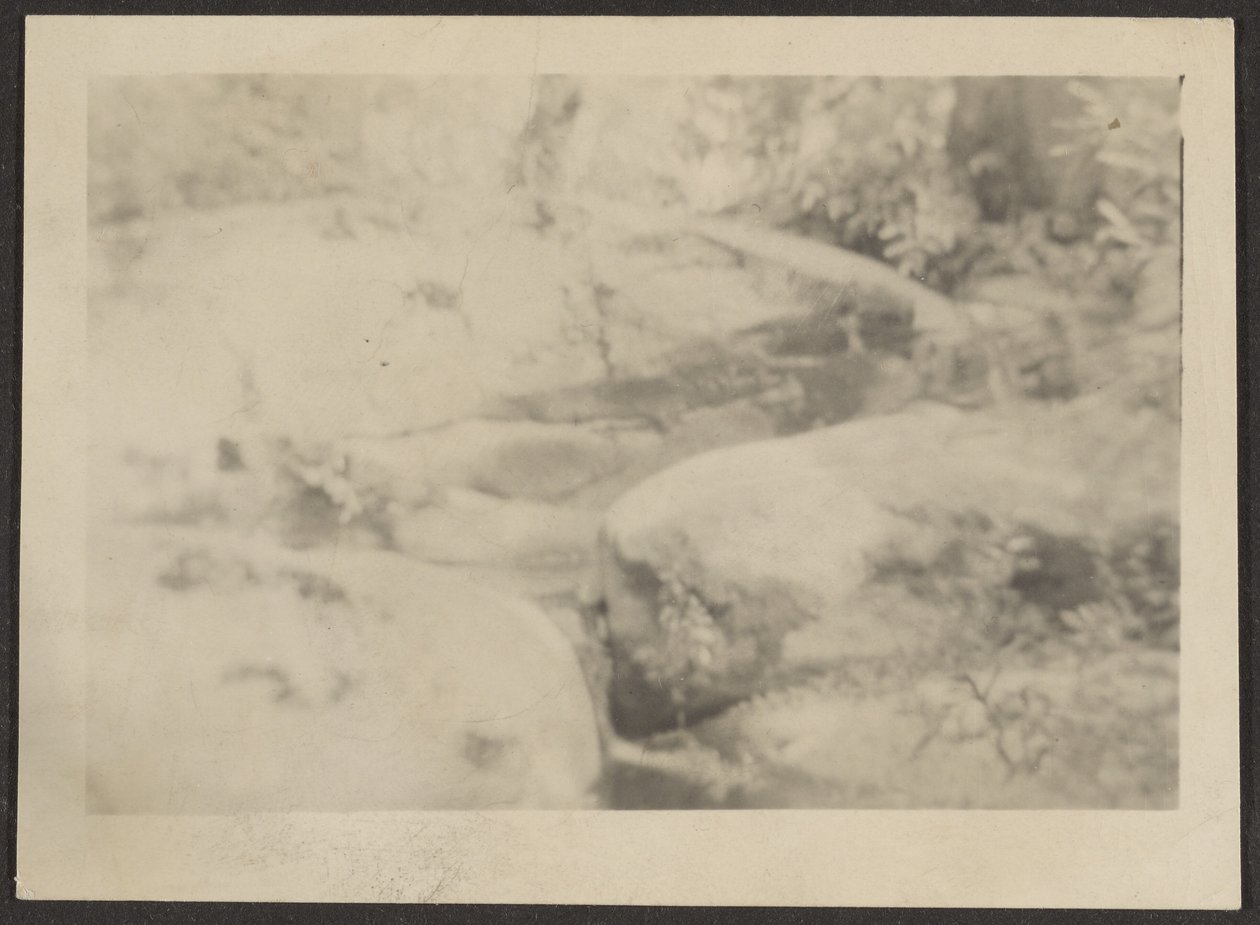 [Paisaje] de Louis Fleckenstein