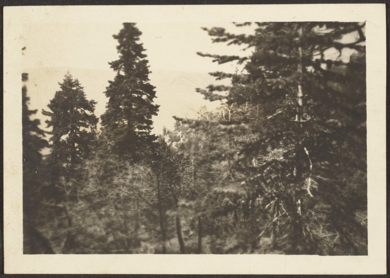 [Paisaje] de Louis Fleckenstein