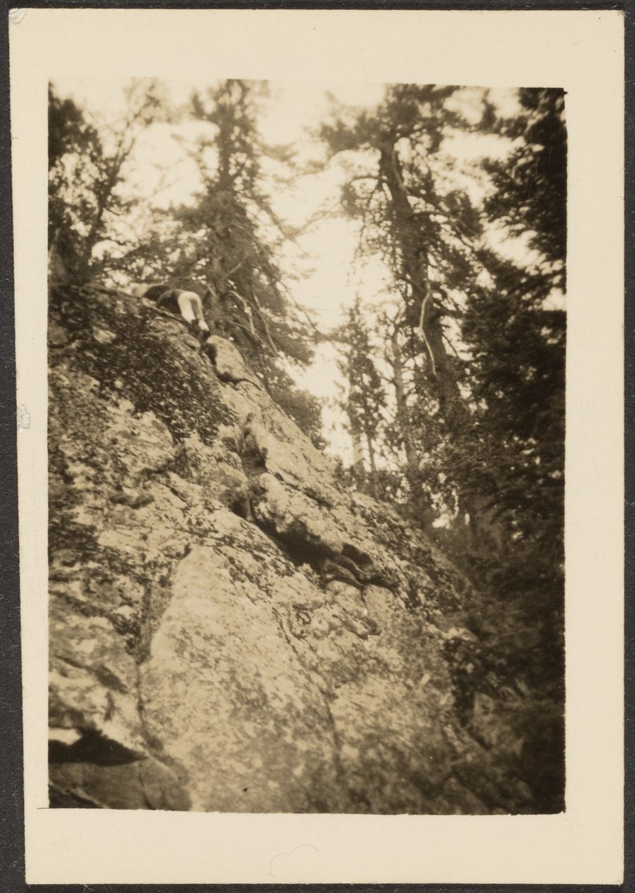 [Paisaje] de Louis Fleckenstein